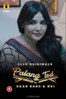 Saas Bahu and NRI