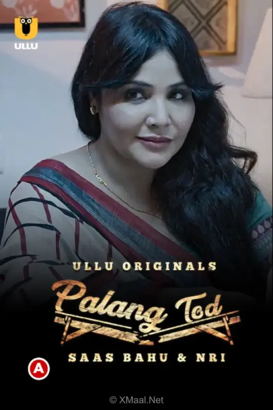 Saas Bahu and NRI