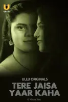Tere Jaisa Yaar Kaha
