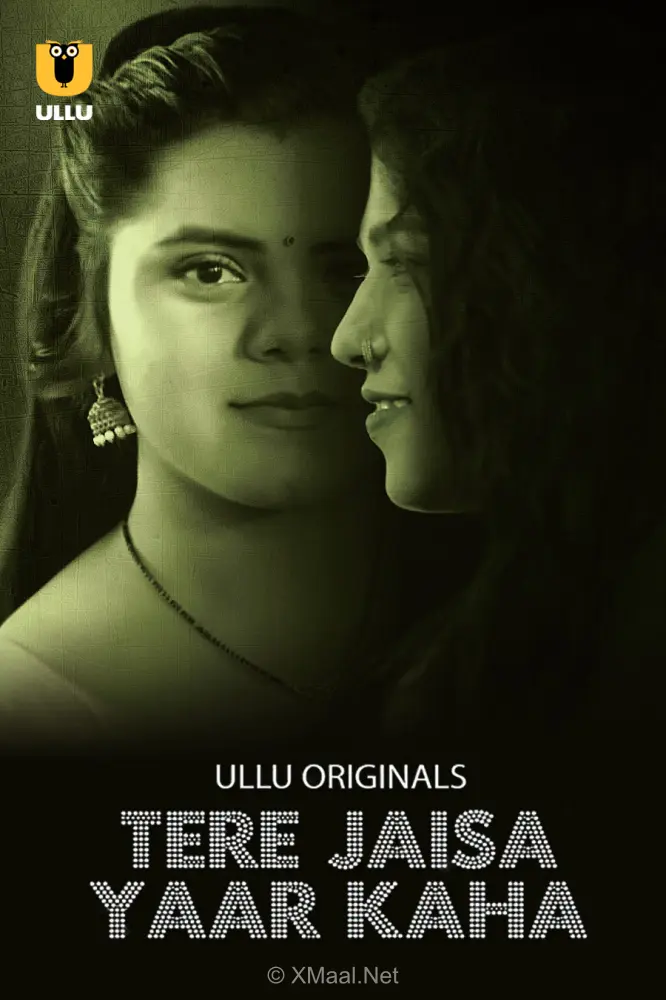 Tere Jaisa Yaar Kaha