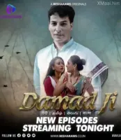 Damad Ji
