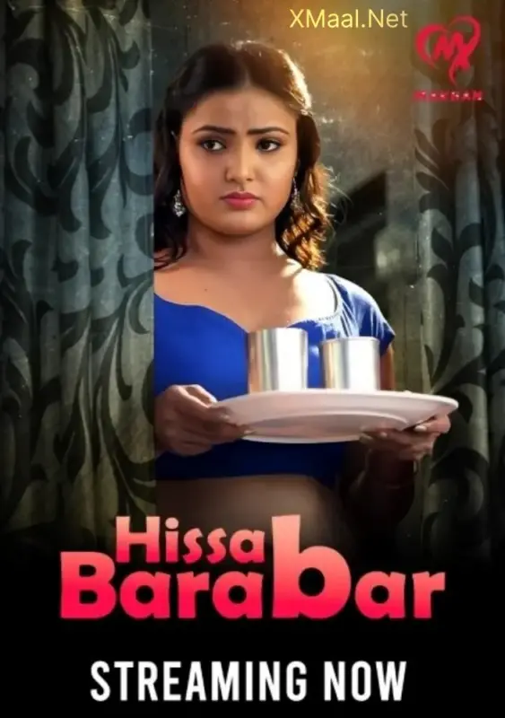 Hissab Barabar